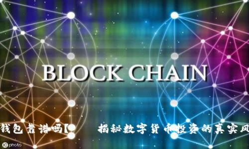 谢广坤TP钱包靠谱吗?——揭秘数字货币投资的真实风险与回报