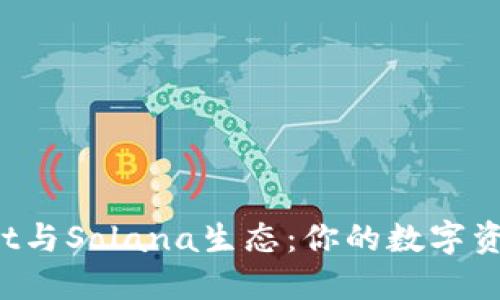 探索TP Wallet与Solana生态：你的数字资产管理新选择