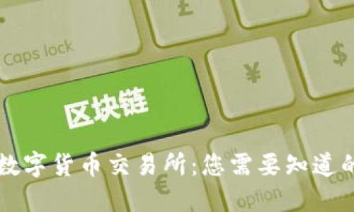 中国数字货币交易所：您需要知道的一切