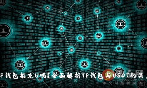 TP钱包能充U吗？全面解析TP钱包与USDT的关系