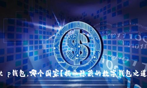 t p钱包，哪个国家？揭示隐藏的数字钱包之道