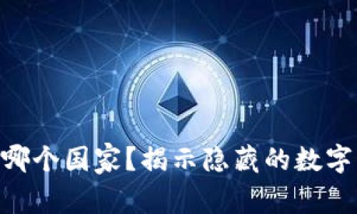 t p钱包，哪个国家？揭示隐藏的数字钱包之道