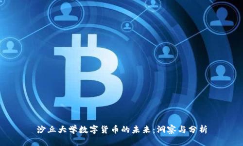 沙丘大学数字货币的未来:洞察与分析
