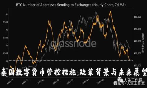 泰国数字货币管控措施:政策背景与未来展望