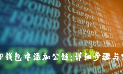 如何在TP钱包中添加公链:详细步骤与实用技巧