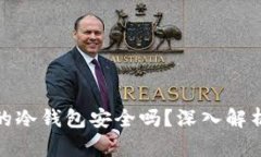 : TP钱包中的冷钱包安全吗？深入解析
