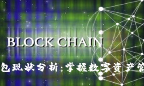 以太坊钱包现状分析:掌握数字资产管理的未来