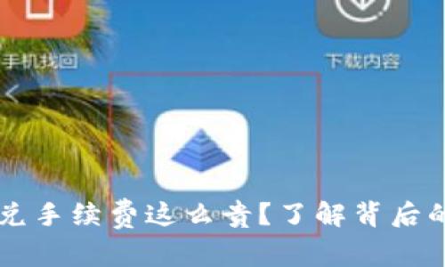 为什么TP钱包闪兑手续费这么贵？了解背后的原因与解决方法