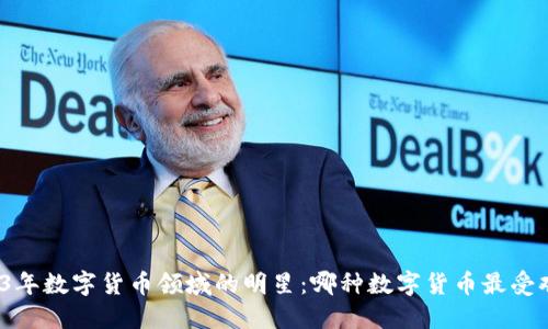 2023年数字货币领域的明星：哪种数字货币最受欢迎？