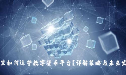 阿里如何运营数字货币平台？详解策略与未来发展
