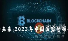 数字货币的未来：2023年中国国家整顿