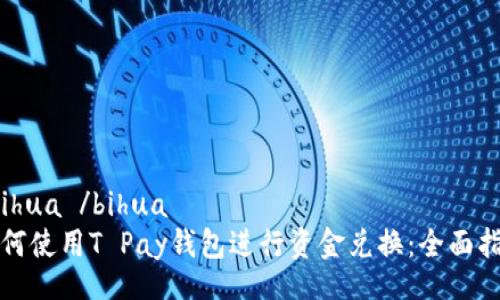 bihua /bihua
如何使用T Pay钱包进行资金兑换:全面指南