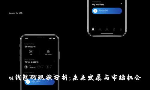 u钱包的现状分析:未来发展与市场机会