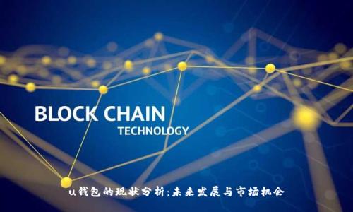 u钱包的现状分析:未来发展与市场机会