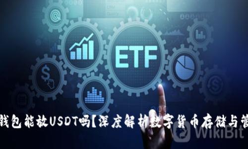 TP钱包能放USDT吗?深度解析数字货币存储与管理