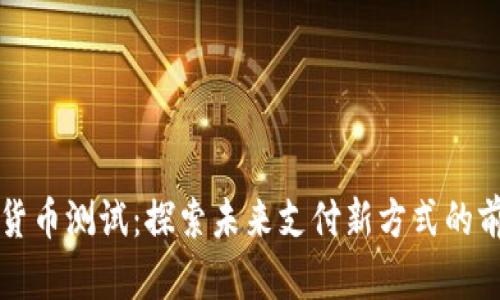 三亚数字货币测试:探索未来支付新方式的前沿与挑战