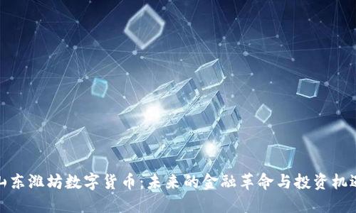 山东潍坊数字货币：未来的金融革命与投资机遇