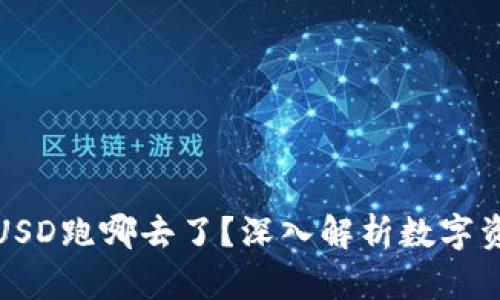 TP钱包闪兑的USD跑哪去了?深入解析数字资产流动与安全