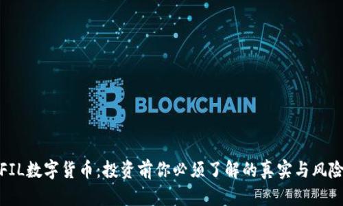 FIL数字货币:投资前你必须了解的真实与风险