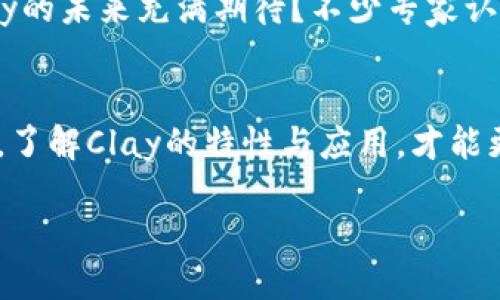什么是Clay？
Clay是一种数字货币，它近年来在加密货币市场中越来越受到关注。那么，Clay究竟是什么？它有什么独特之处？有没有值得你投资的潜力？在接下来的内容中，我们将深入探讨Clay及其背后的技术和应用。

Clay的背景和发展
Clay的诞生可以追溯到对数字货币日益增长的需求。在区块链技术的推动下，Clay作为一种新的货币形式应运而生。和许多其他加密货币类似，Clay利用去中心化的技术，以增强安全性、透明性和交易效率。它的核心理念是为用户提供一种更灵活、更快捷的价值交换方式。

Clay的特点
Clay有几个值得关注的特点，这些特点使其在市场中独树一帜。例如：
ul
    listrong去中心化/strong：与传统货币不同，Clay不依赖于任何中央银行或金融机构。所有交易都是通过区块链技术进行的，这意味着不易受到政府或其他组织的干预。/li
    listrong交易透明/strong：所有的Clay交易都记录在区块链上，任何人都可以查看。这种透明性有助于建立信任，也减少了欺诈的可能性。/li
    listrong低交易费用/strong：由于去中心化的特性，Clay的交易费用通常相对较低，这对于频繁交易的用户无疑是一个优势。/li
/ul

Clay的潜在应用
你知道吗？Clay不仅仅是一种交易媒介，它还有广泛的应用前景。例如，在艺术品市场，Clay可以被用于验证艺术品的真伪；在供应链管理中，Clay可以用于跟踪产品的来源。

投资Clay，需了解的风险
当然，投资Clay也并非没有风险。与其他数字货币一样，Clay的价值波动可能非常大。你是否曾想过，这样的波动是否会影响你的投资决策？在进行投资之前，一定要评估自己的风险承受能力。

如何获取Clay
获取Clay的方法有很多，其中最常见的方式是通过交易所购买。近年来，越来越多的交易所开始支持Clay的交易，你只需在这些平台上注册账号，就可以开始交易。然而，选择一个安全可靠的交易所是否真的那么容易？你需要仔细研究，以确保你的资金安全。

Clay的未来展望
展望未来，Clay的发展前景值得关注。随着越来越多的人开始接受数字货币，Clay的使用场景将会不断扩展。你是否也对Clay的未来充满期待？不少专家认为，随着技术的不断完善，Clay的价值有望实现突破性增长。

总结
总的来说，Clay作为一种数字货币，具有去中心化、交易透明和低费用等优点。但同时，它的价值波动和投资风险也不容忽视。了解Clay的特性与应用，才能更明智地参与其中。在做出投资决策之前，不妨多花一点时间进行研究和思考。你准备好踏上这条数字货币的投资之旅了吗？

Clay：探索数字货币新时代的投资机会