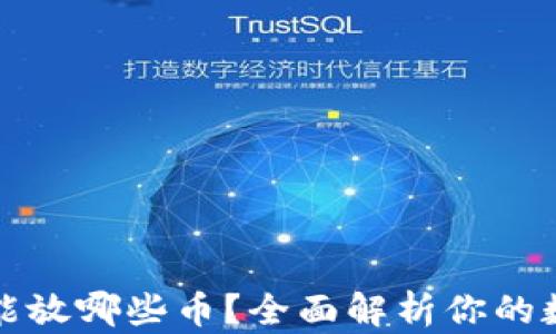 以太坊钱包能放哪些币?全面解析你的数字资产选择
