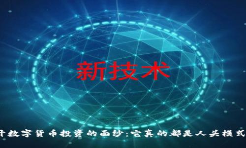 揭开数字货币投资的面纱:它真的都是人头模式吗?