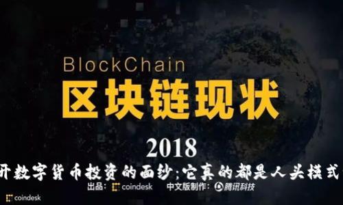 揭开数字货币投资的面纱:它真的都是人头模式吗?