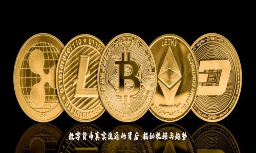 数字货币真实流通的背后:揭秘视频与趋势