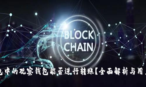 TP钱包中的观察钱包能否进行转账?全面解析与用户指南
