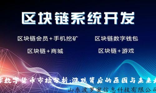 全球数字货币市场分析：涨跌背后的原因与未来走势