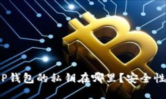 深入探讨：tP钱包的私钥在哪里？安全