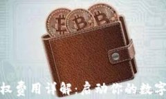 TP钱包授权费用详解：启动你的数字资