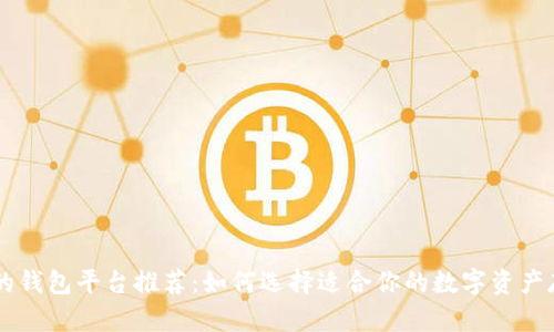 币圈最安全的钱包平台推荐:如何选择适合你的数字资产存储解决方案