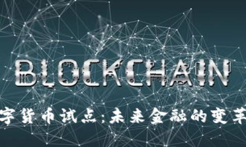 加快数字货币试点：未来金融的变革与机遇