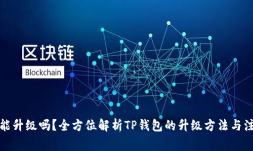 TP钱包能升级吗？全方位解析TP钱包的升级方法与注意事项
