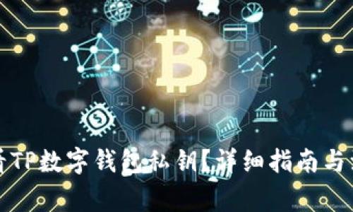 如何查看TP数字钱包私钥?详细指南与注意事项