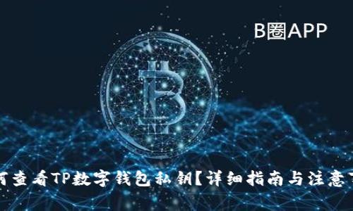 如何查看TP数字钱包私钥?详细指南与注意事项