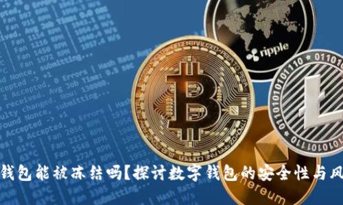 TP钱包能被冻结吗?探讨数字钱包的安全性与风险