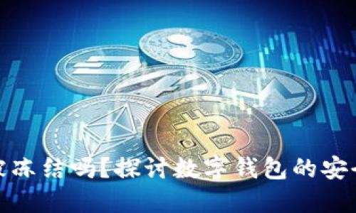 TP钱包能被冻结吗?探讨数字钱包的安全性与风险