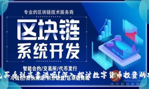 TP钱包买币到底靠谱吗？深入探讨数字货币投资的安全性