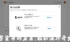    探索数字货币的未来：揭秘海外开