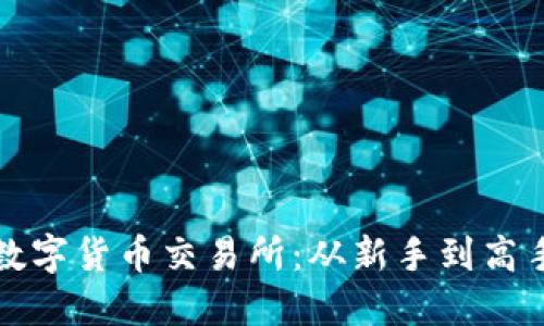 如何轻松开户数字货币交易所：从新手到高手的全方位指南