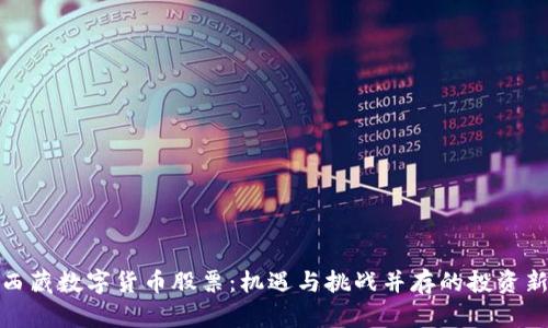 探索西藏数字货币股票：机遇与挑战并存的投资新领域