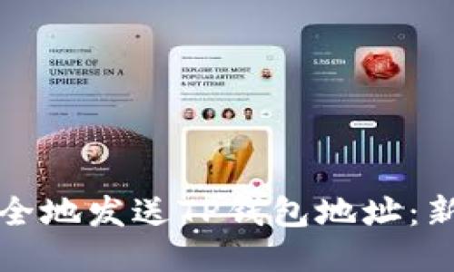 如何安全地发送TP钱包地址：新手指南