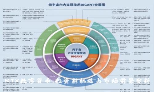 MTX数字货币：投资新机遇与市场前景分析