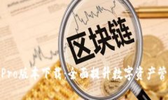 TP钱包Pro版本下载：全面提升数字资产