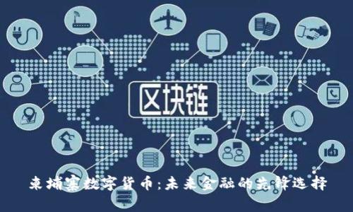 柬埔寨数字货币:未来金融的先锋选择