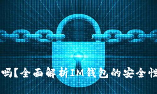 IM钱包安全吗?全面解析IM钱包的安全性与防护措施
