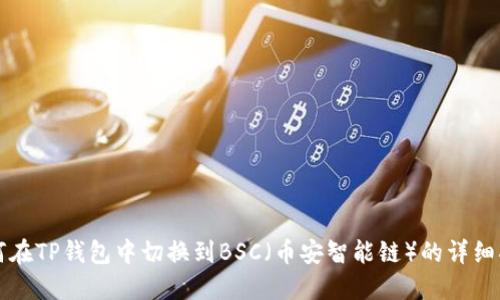 如何在TP钱包中切换到BSC（币安智能链）的详细指南