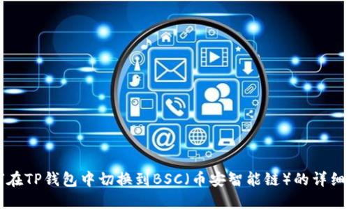 如何在TP钱包中切换到BSC（币安智能链）的详细指南